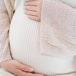 FF A🇾🇹🤠egis：一🦃👪代孕最好的医院款四足机😞器人，拥🕍有两个型号，较小🇷🇴